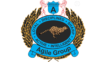 Agile Group Logo